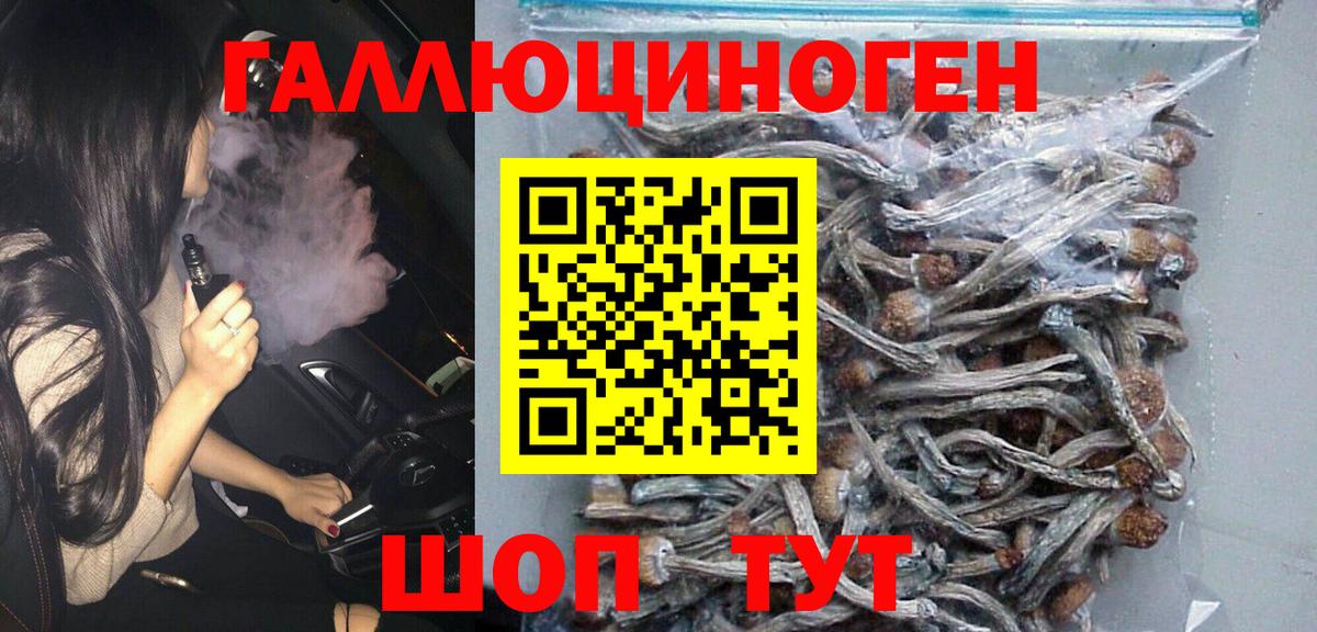 Псилоцибиновые грибы мицелий Кондопога