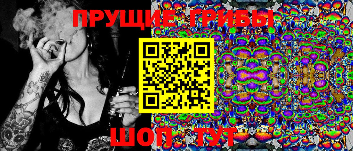 Псилоцибиновые грибы Psilocybe  Вход с VPN  Кондопога 